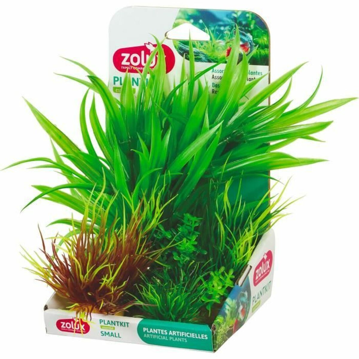 Plante décorative Zolux