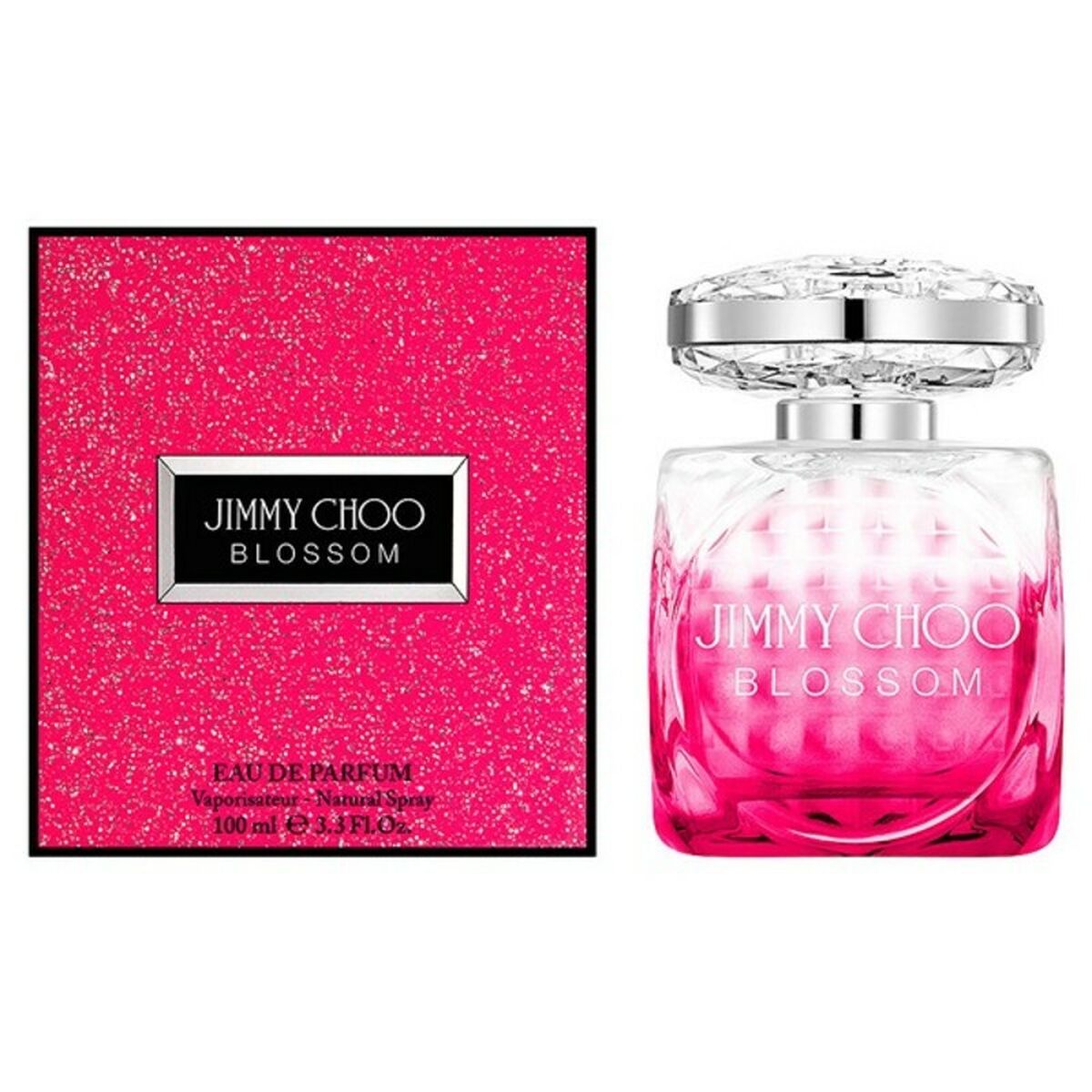 Parfum Femme Jimmy Choo 4291902 EDP 100 ml