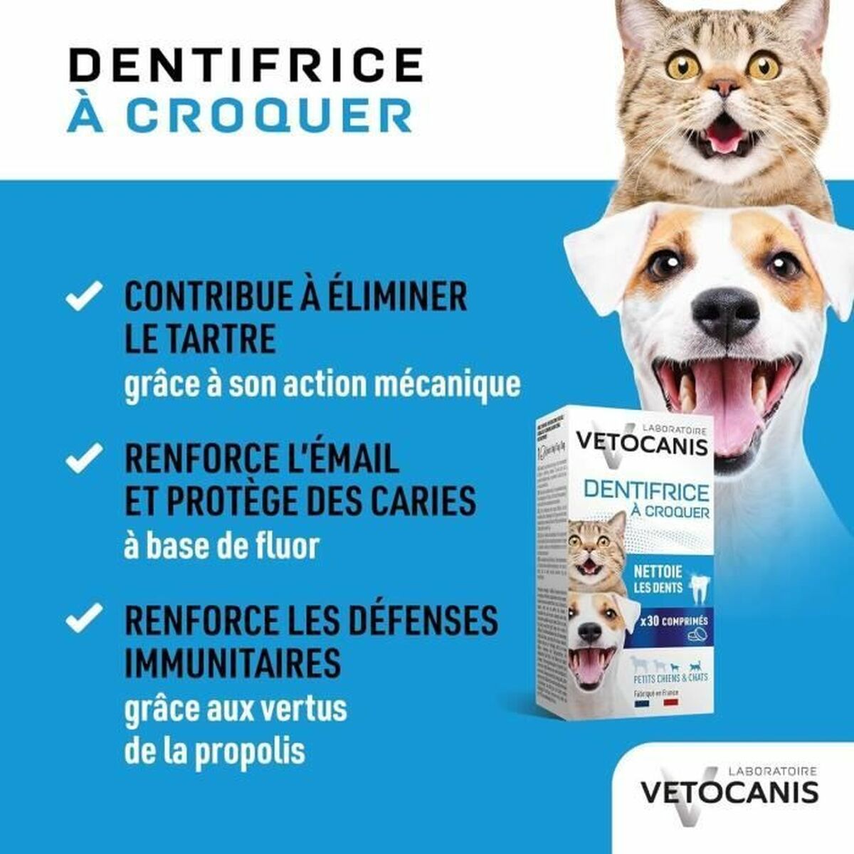 Dentifrice Vetocanis Chat