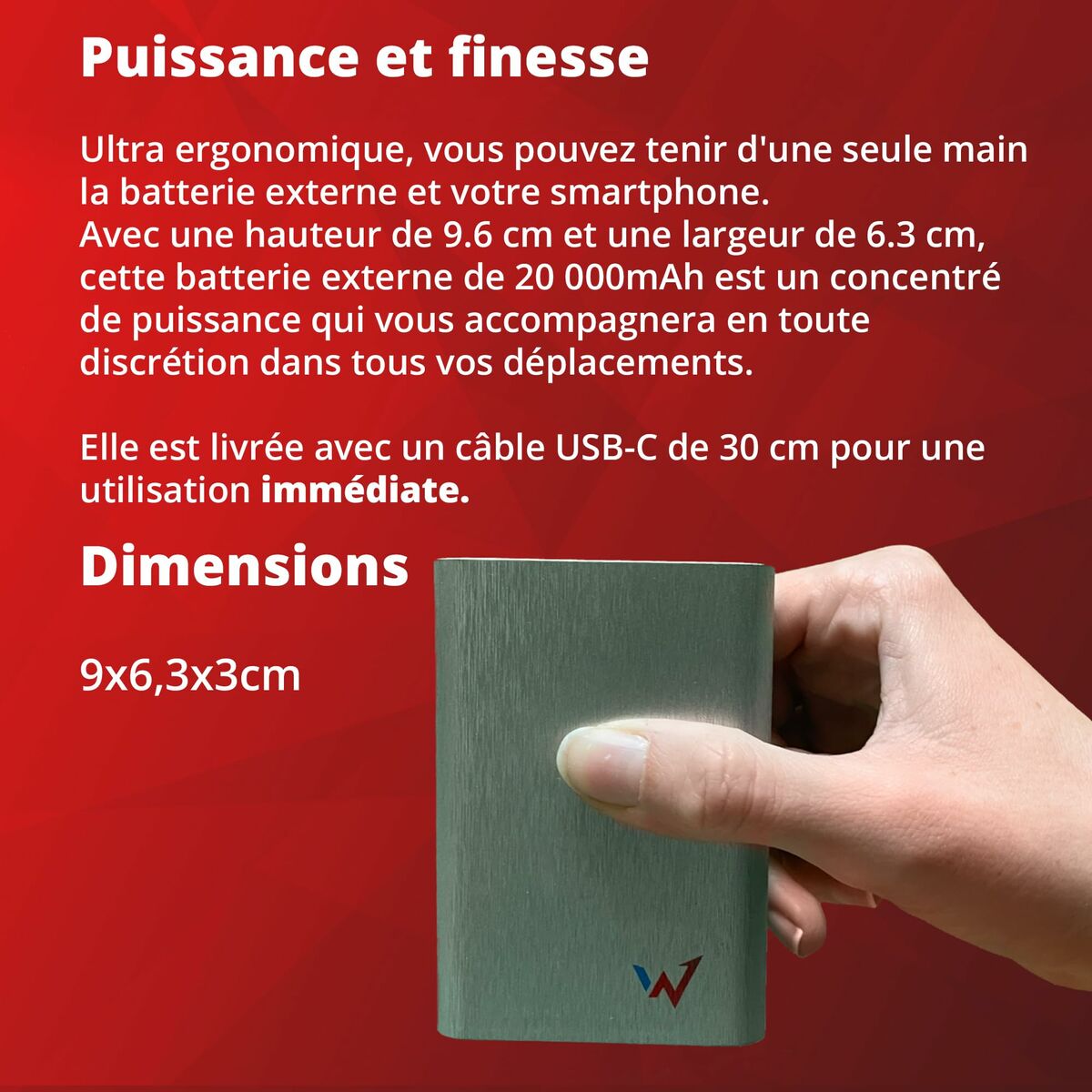 Powerbank Wonder Wonder WX20 Argenté 20000 mAh