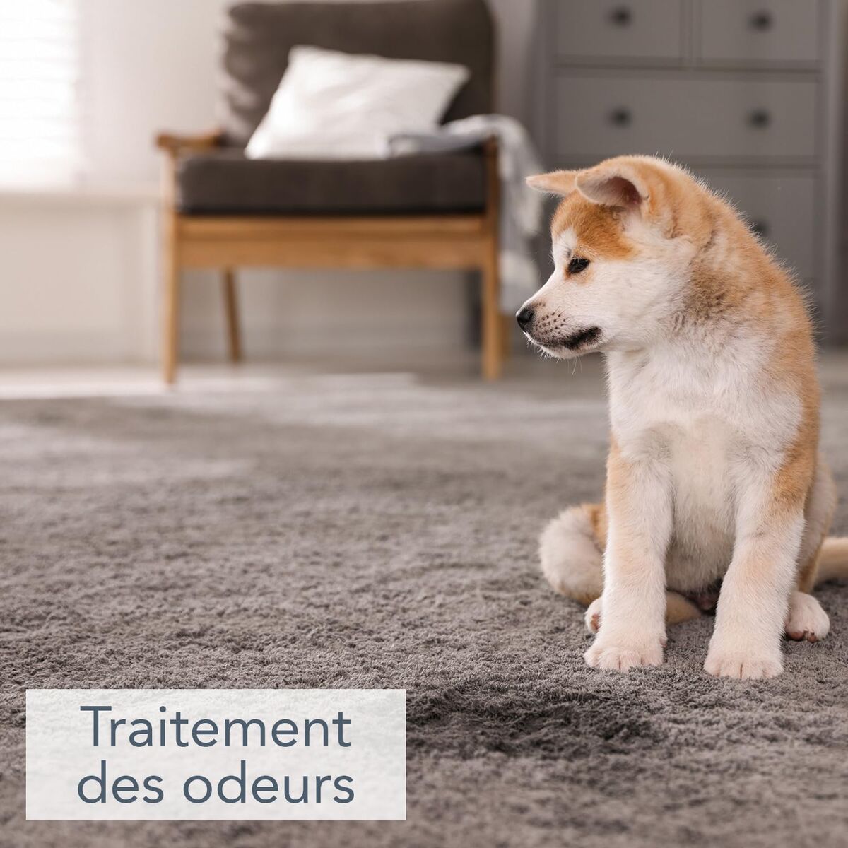 Désinfectant Saniterpen 1 L