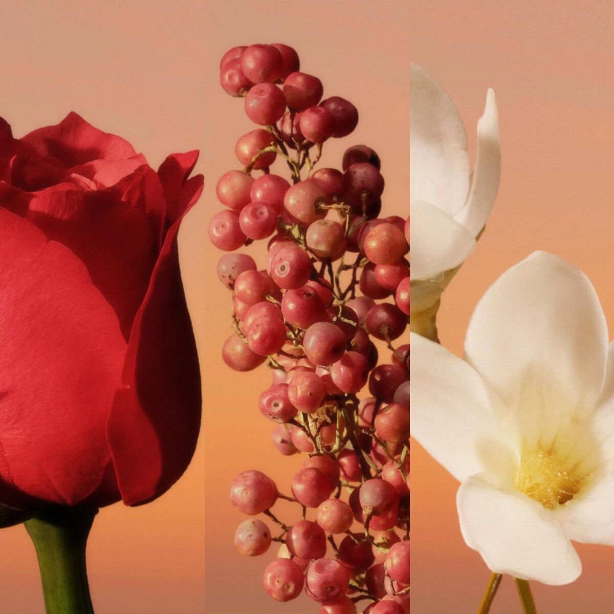 Parfum Homme Calvin Klein 30 ml