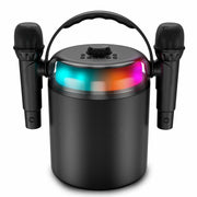 Haut-parleurs Ledwood LD-PLAYKARAOKE