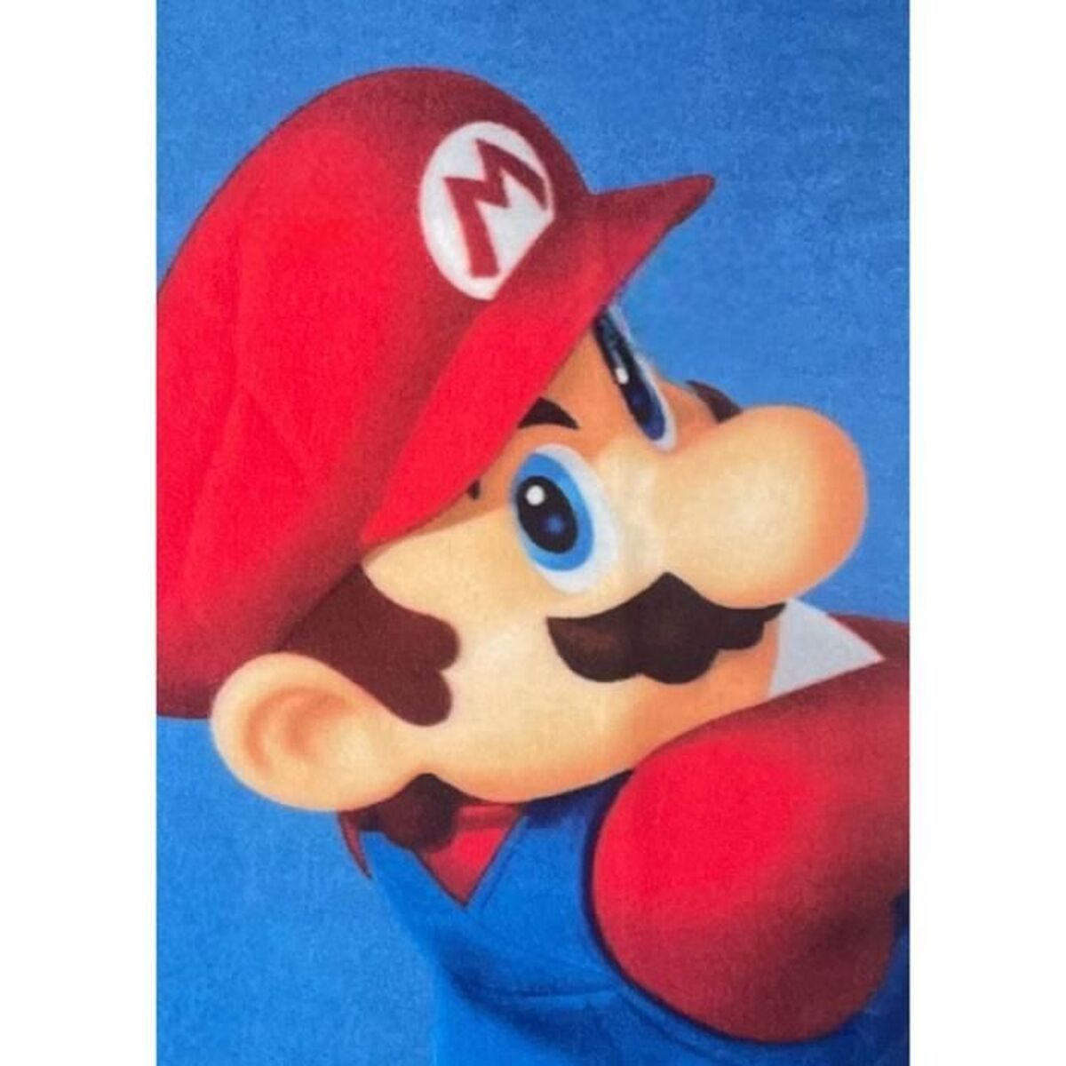 Couverture Mario Bros 25 x 7 x 13 cm Multicouleur animaux