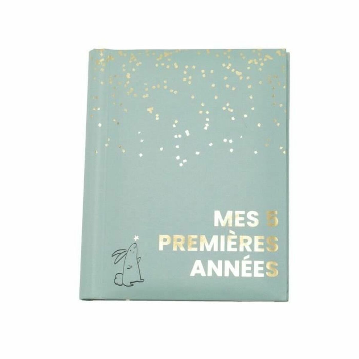 Album Domiva Mes 5 premieres annees