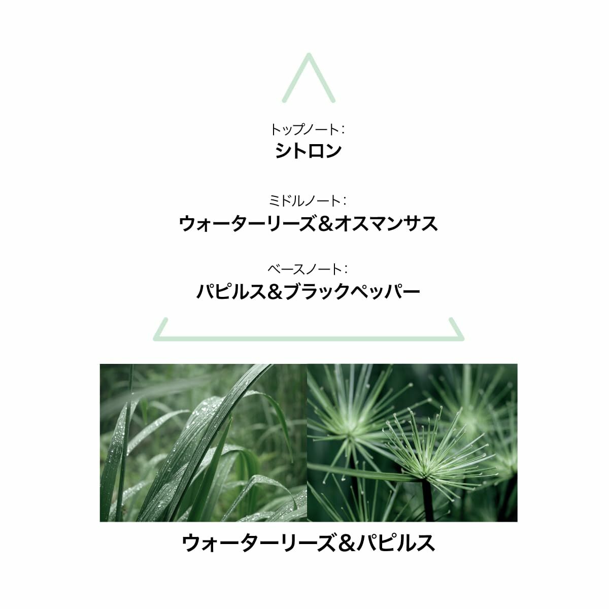 Parfum Femme Le Couvent des Minimes