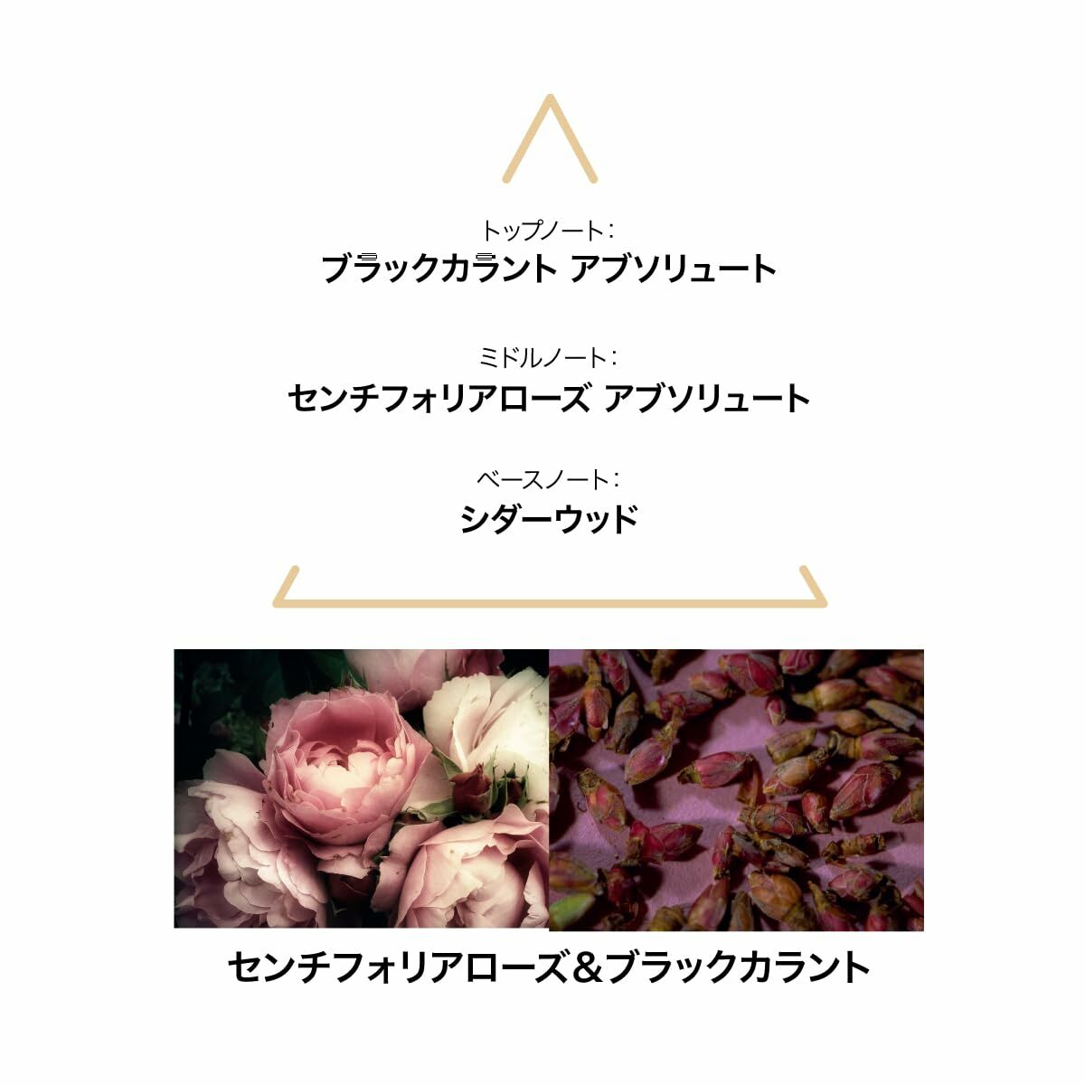 Parfum Femme Le Couvent des Minimes EDP