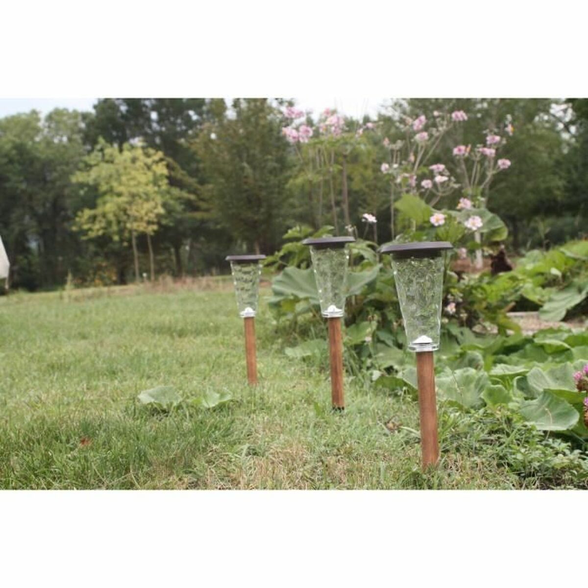 Lampe solaire Canopo Naturel 20 Lm (3 Unités)