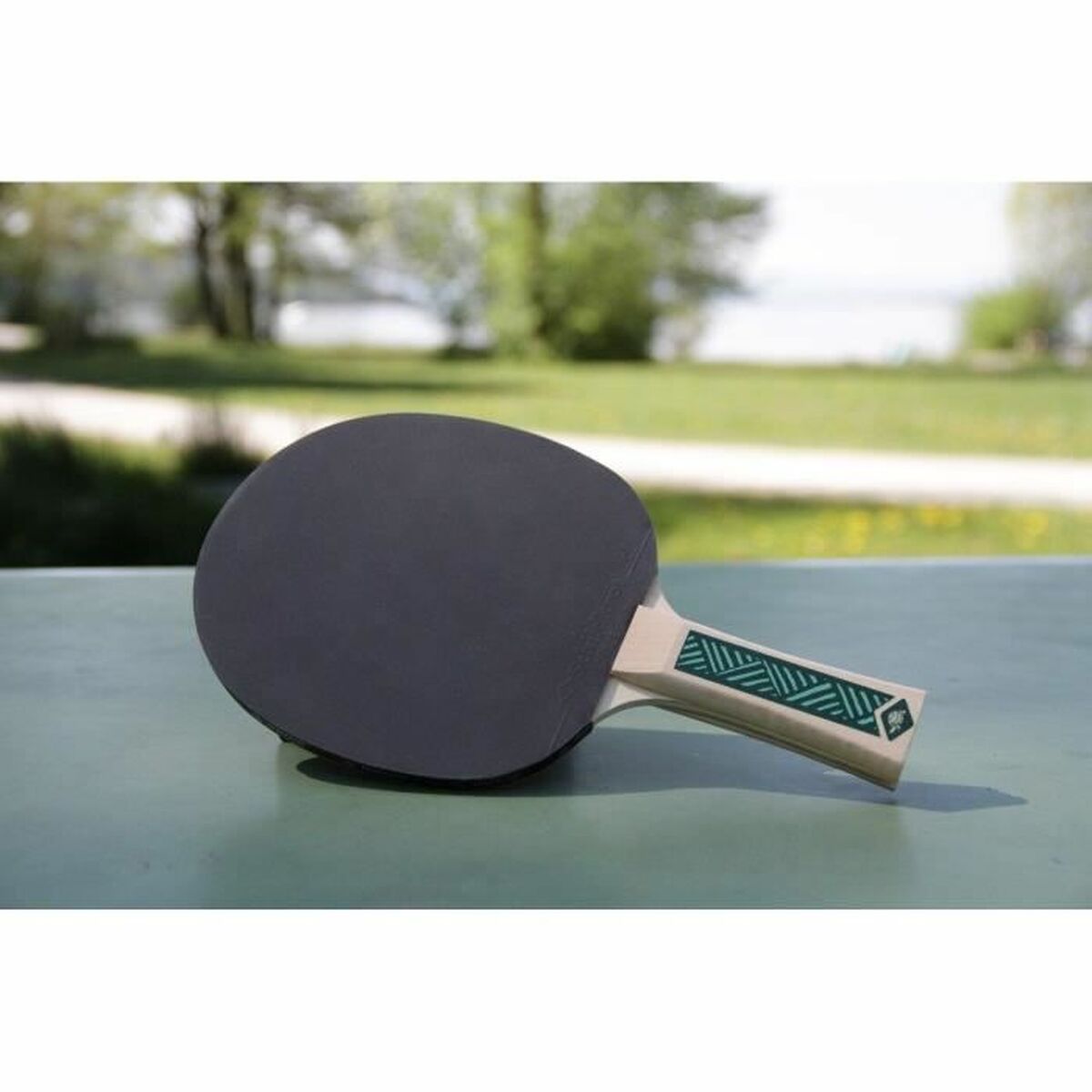 Set Ping Pong Schildkröt