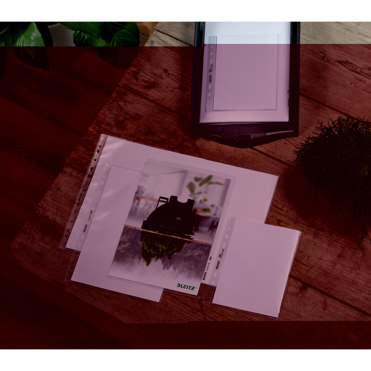 Housses Leitz Noir Transparent polypropylène Plastique