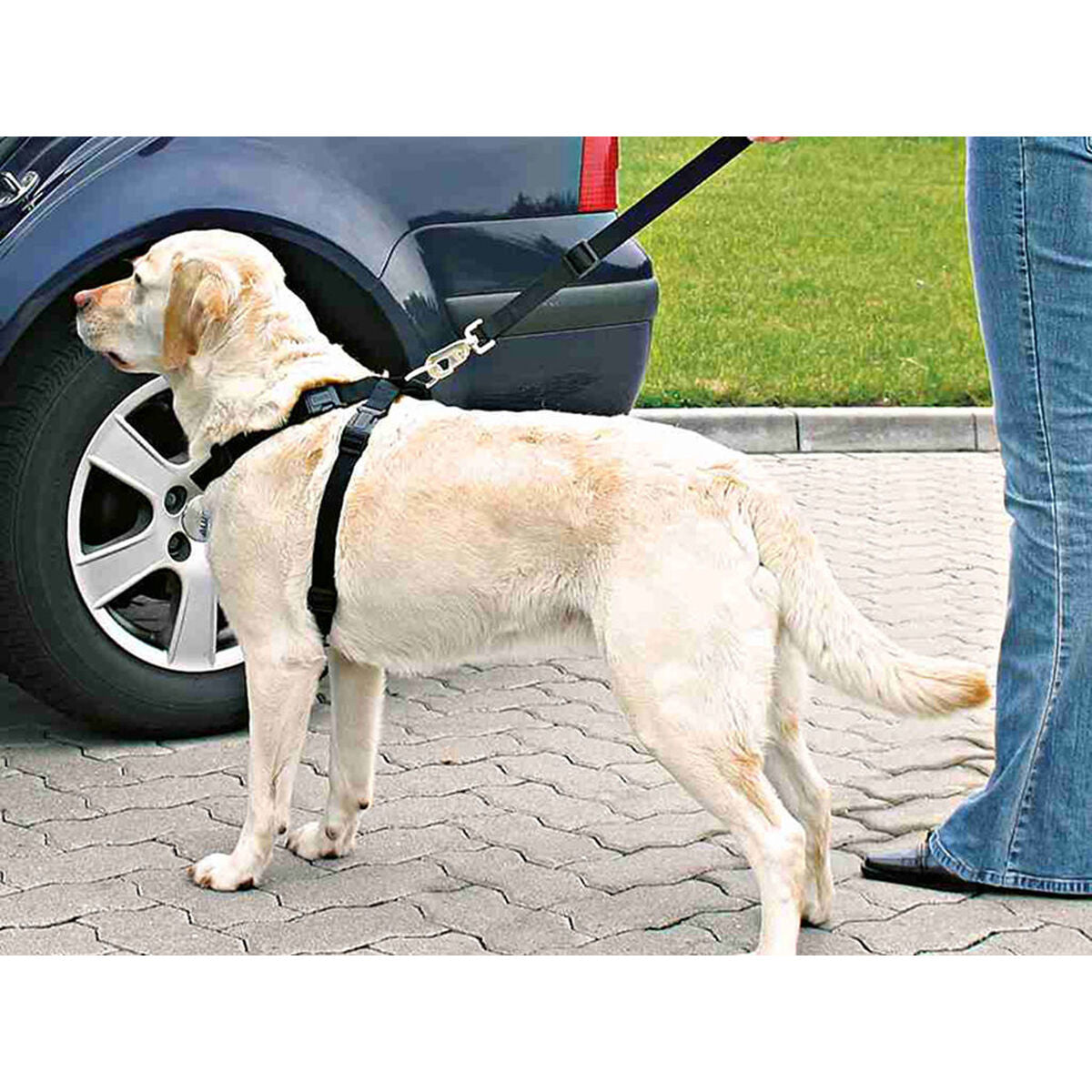 Harnais pour Chien Trixie Noir L