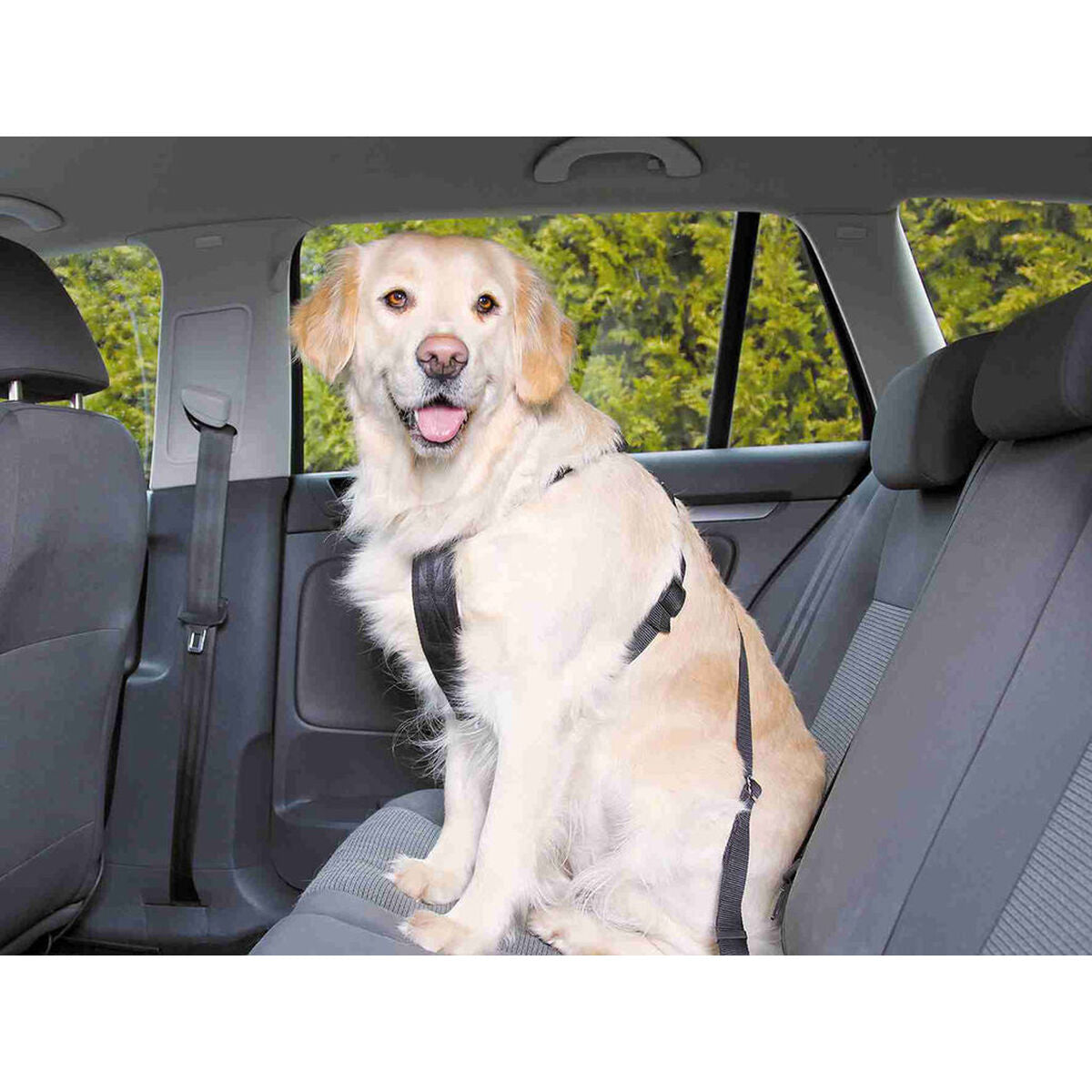 Harnais pour Chien Trixie Noir L