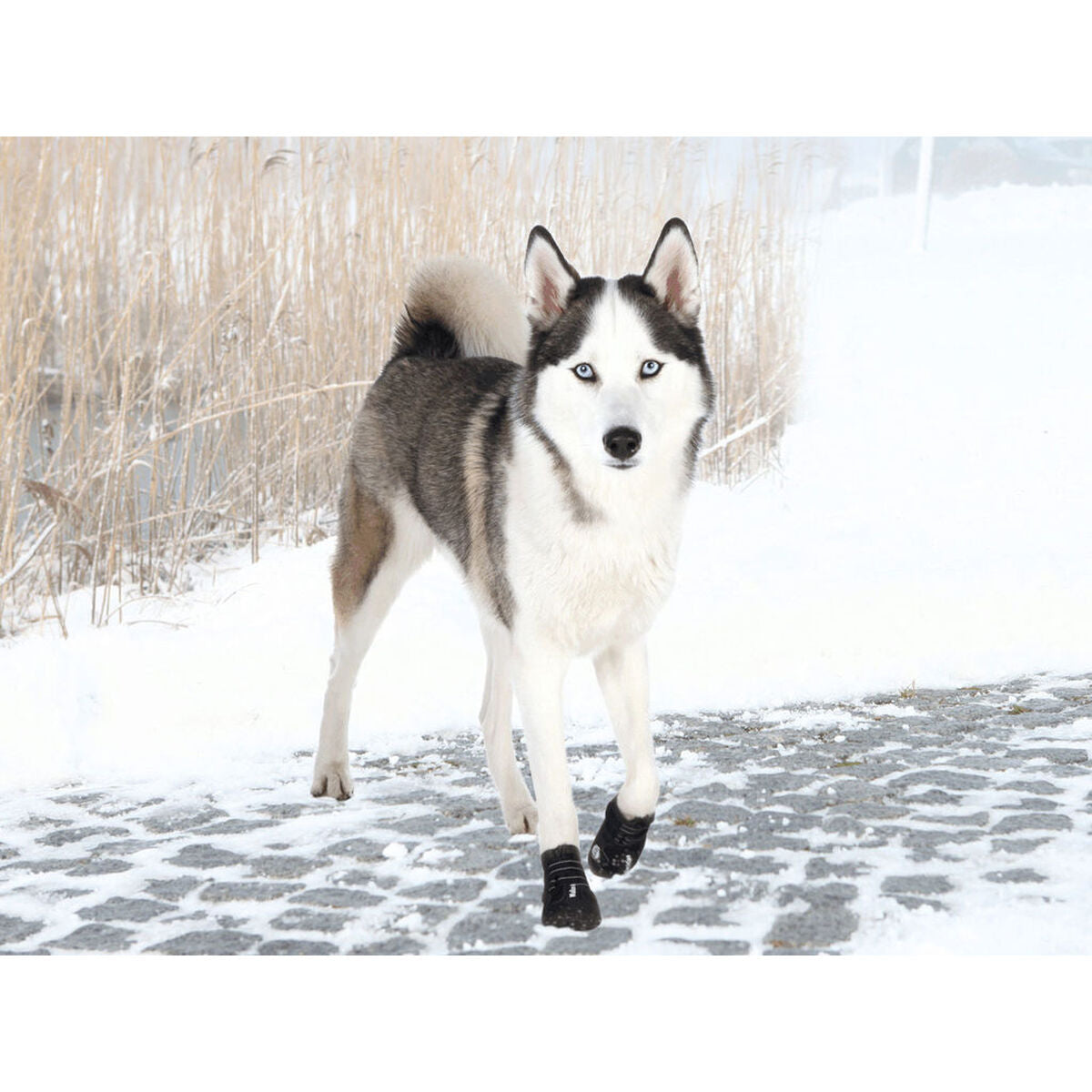 Bottes Trixie Noir L/XL