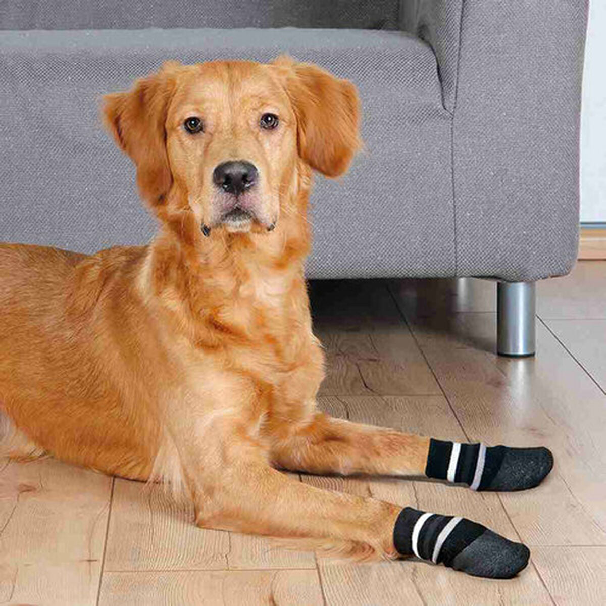 Chaussettes Trixie Noir L Chien