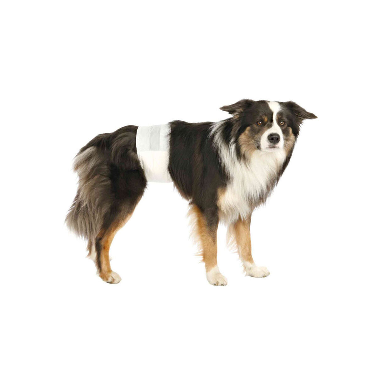 Couches Trixie 12 Unités