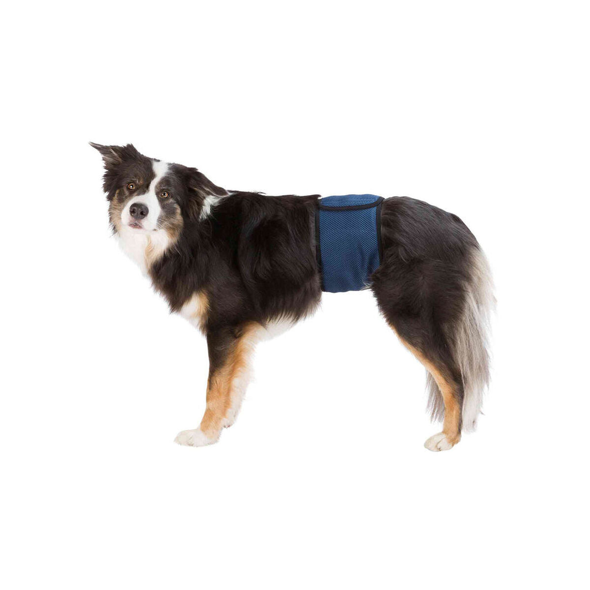 Protecteur pour Incontinence Trixie 55-65 cm Prise Mâle Abdomen