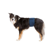 Protecteur pour Incontinence Trixie 55-65 cm Prise Mâle Abdomen