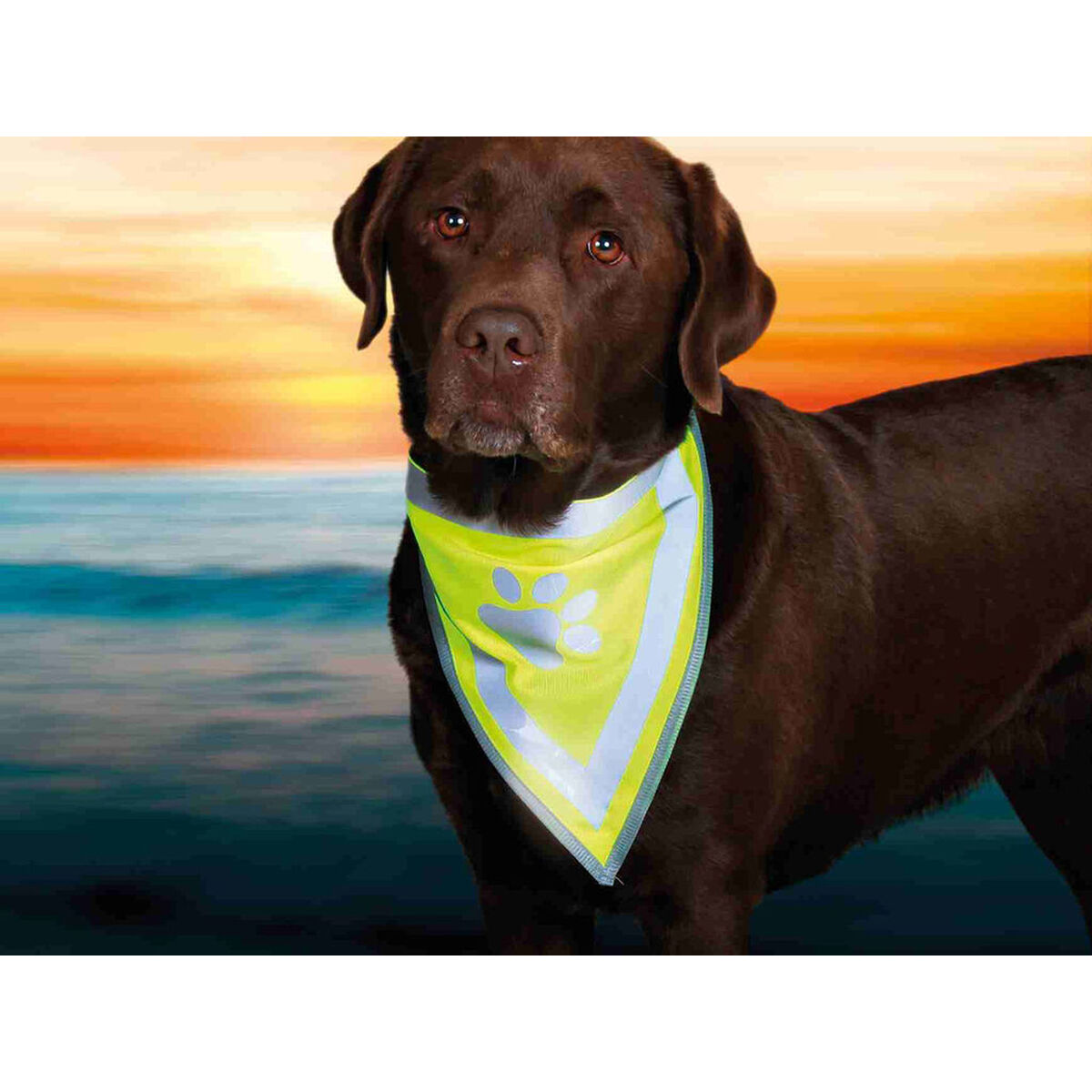 Collier réfléchissant pour animaux Trixie