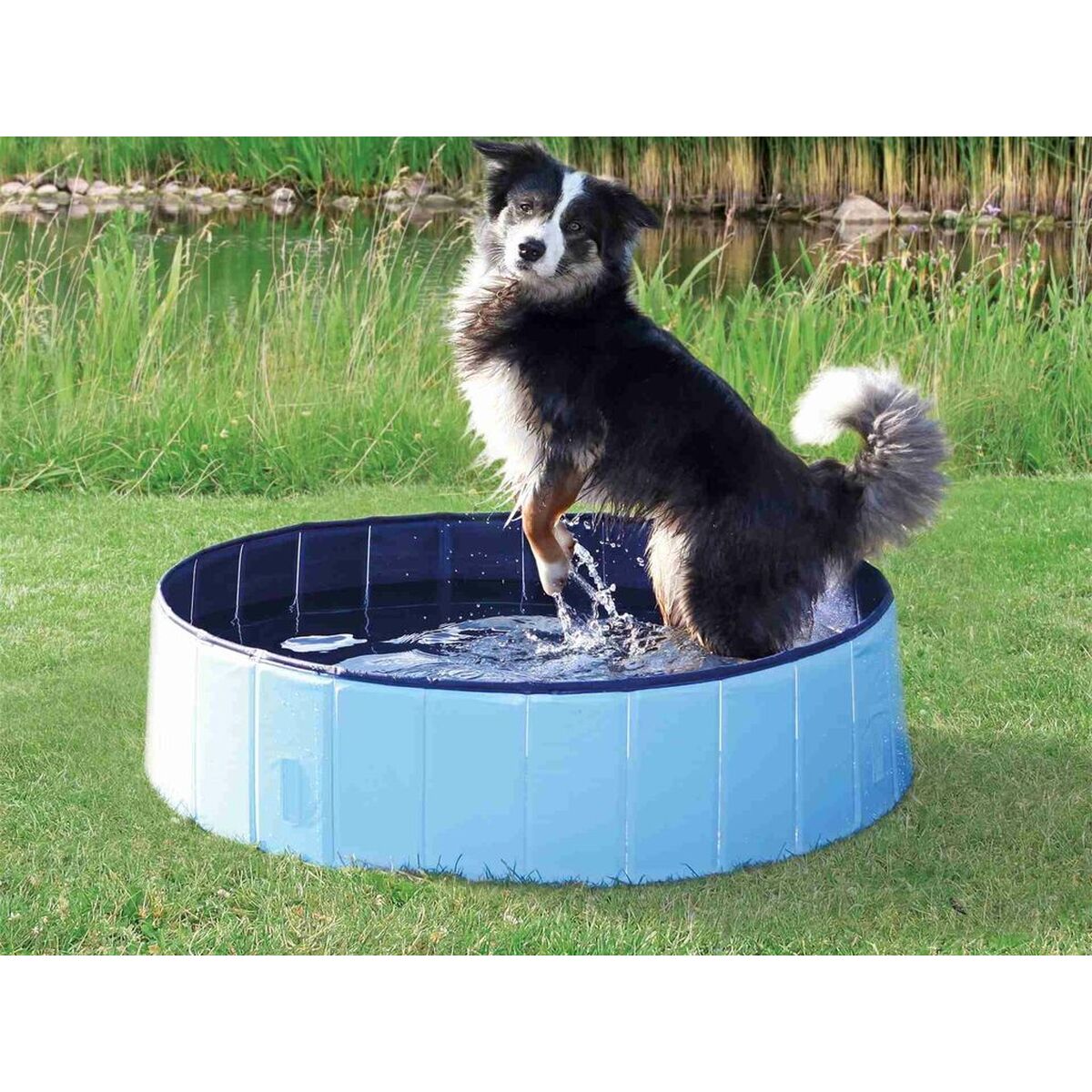 Piscine pour Chiens Trixie Bleu clair Ø 70 × 12 CM