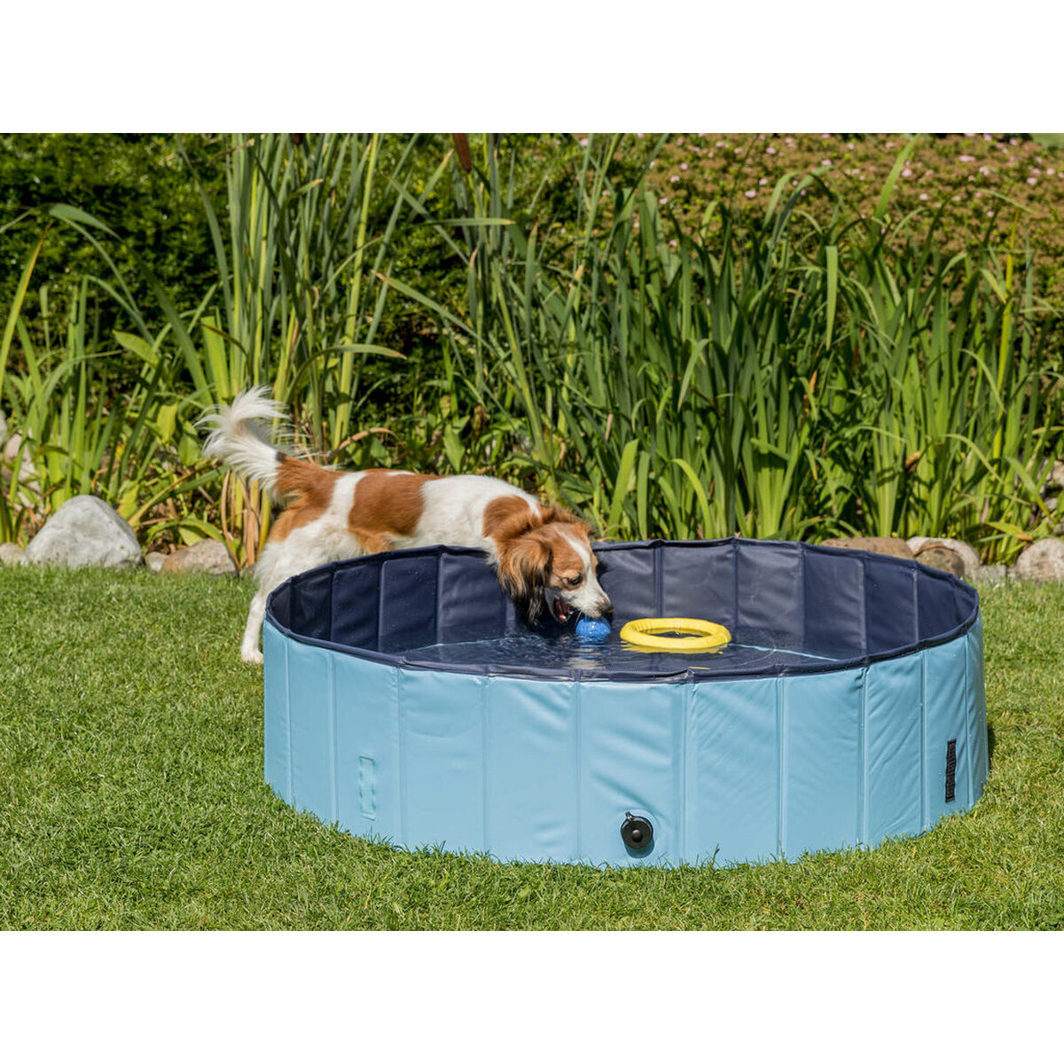 Piscine pour Chiens Trixie Bleu clair Ø 70 × 12 CM