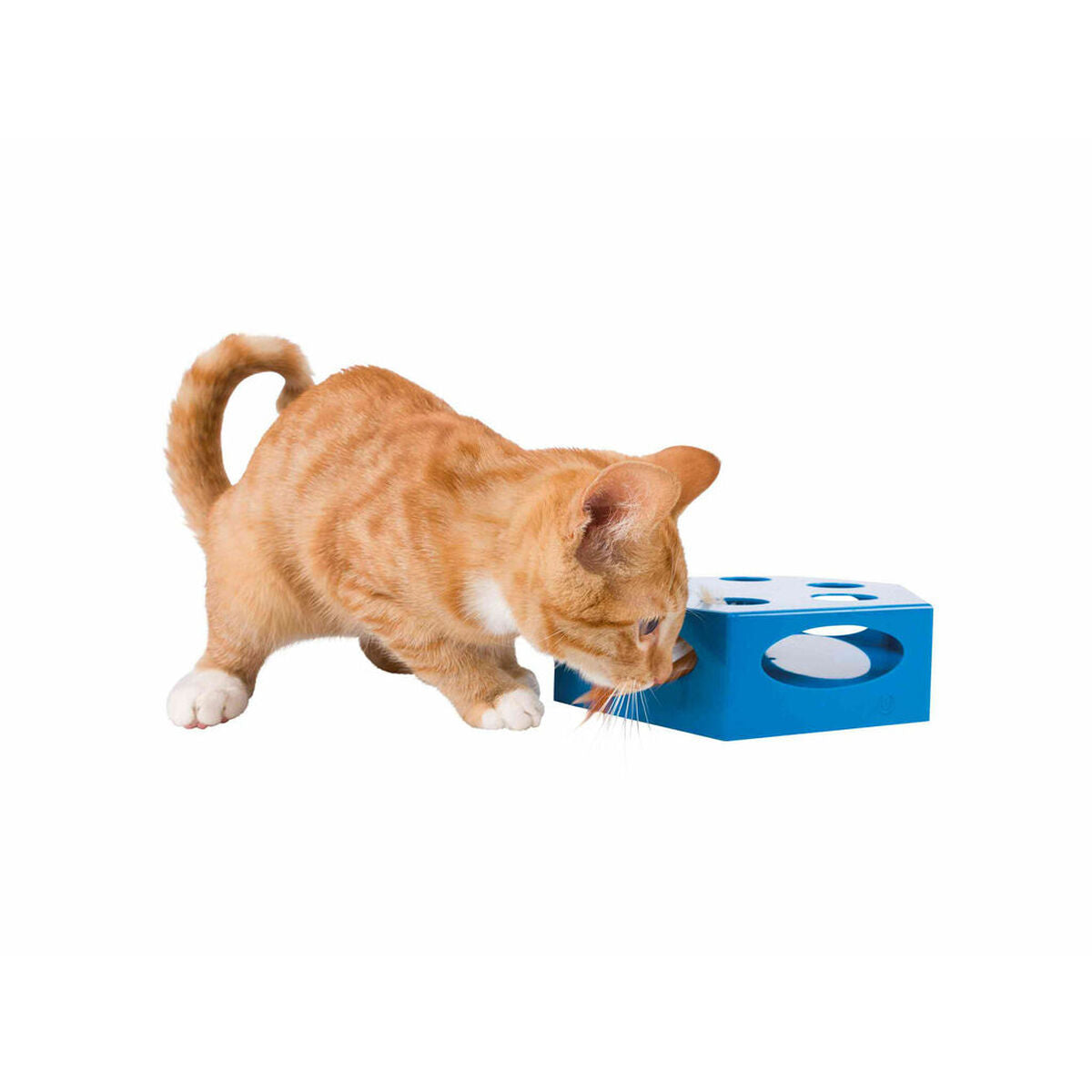 Jouet pour chats Trixie Gris Plastique Ø 22 cm