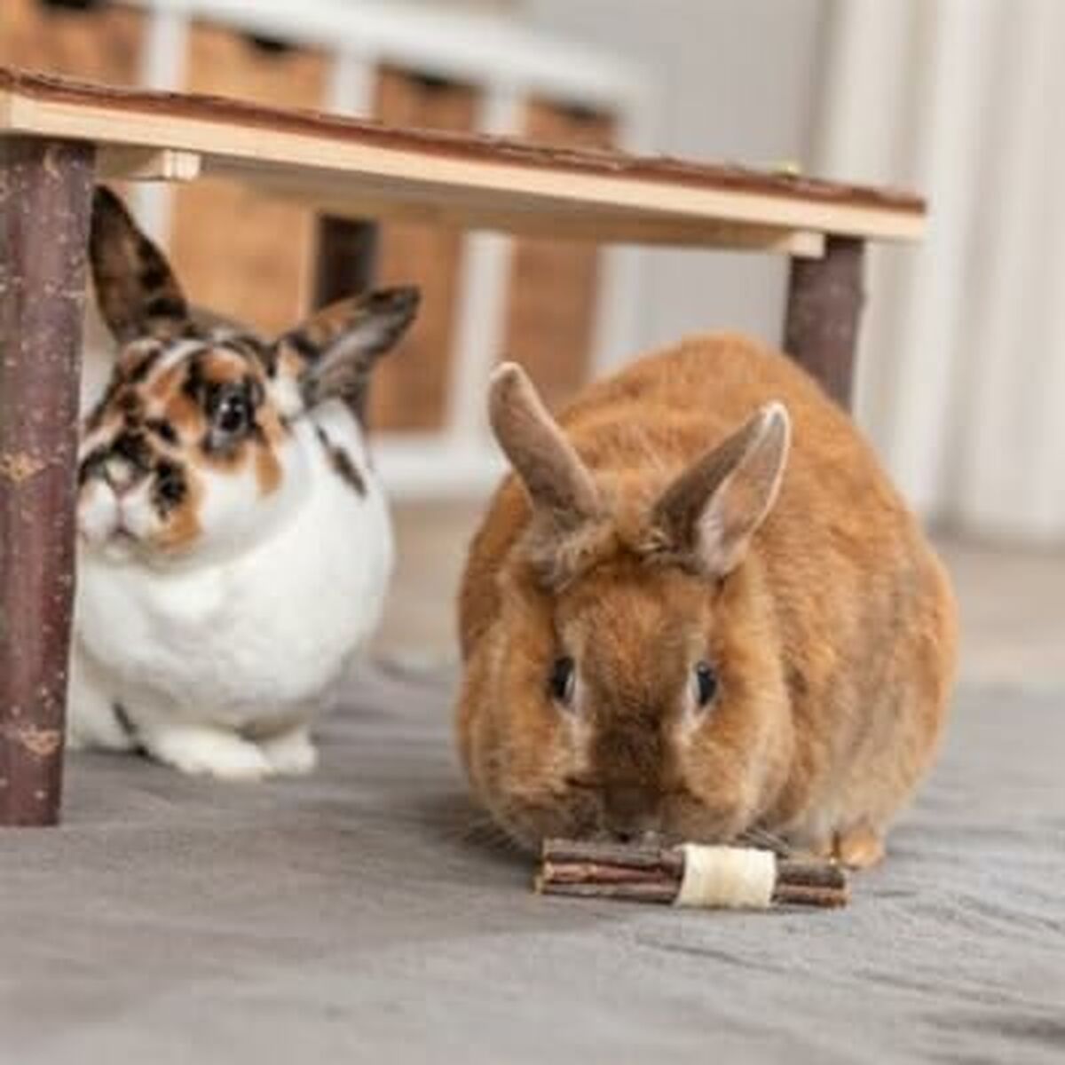 Jouet pour Rongeurs Trixie Bois Algues marines 10 × 3 CM (2 Unités)