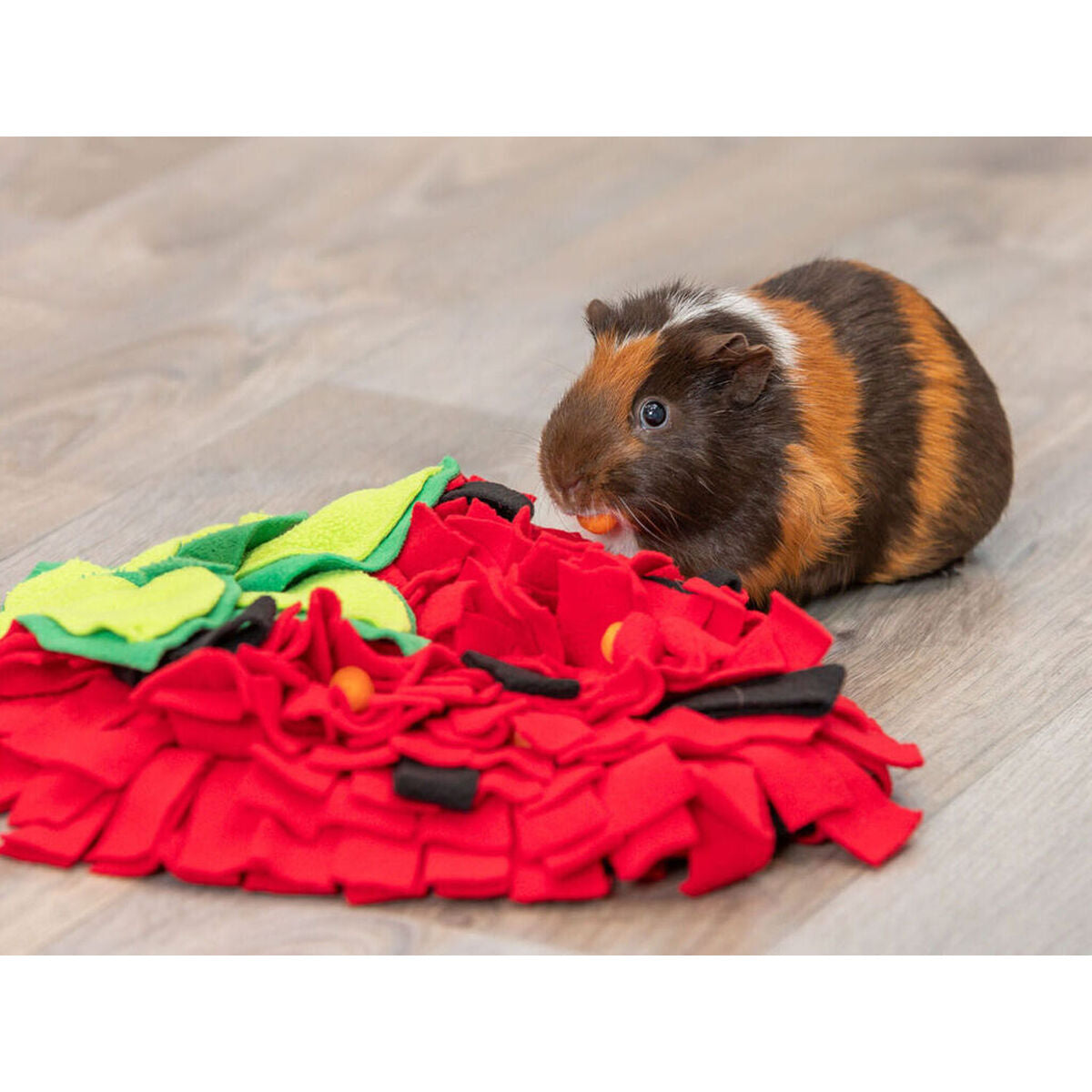 Tapis Olfactif pour Animaux de Compagnie Trixie