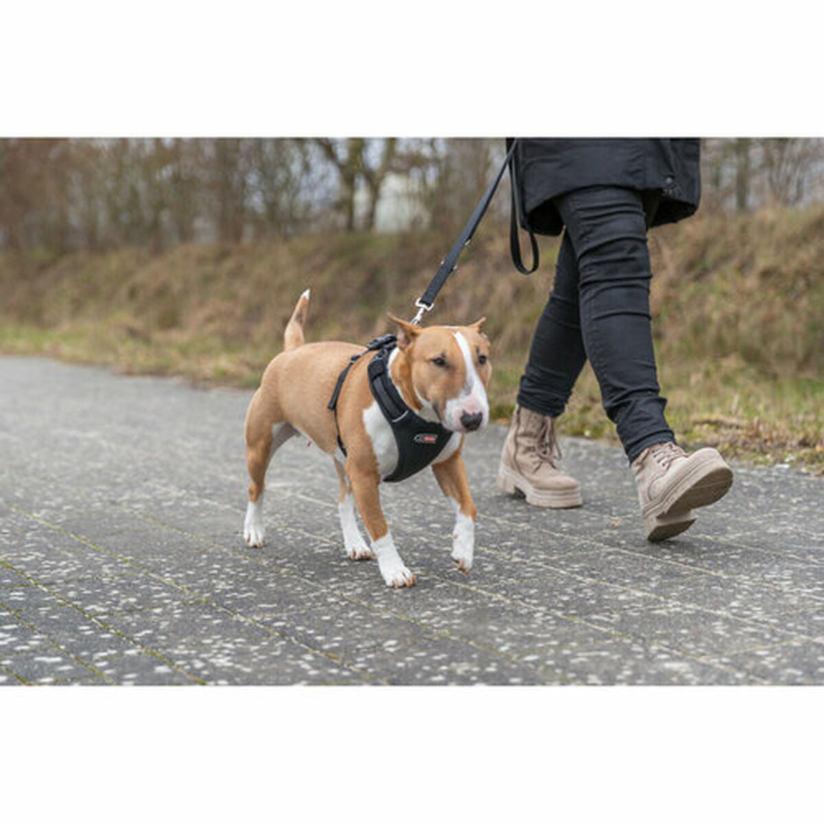 Harnais pour Chien Trixie Premium FlexMesh Noir L