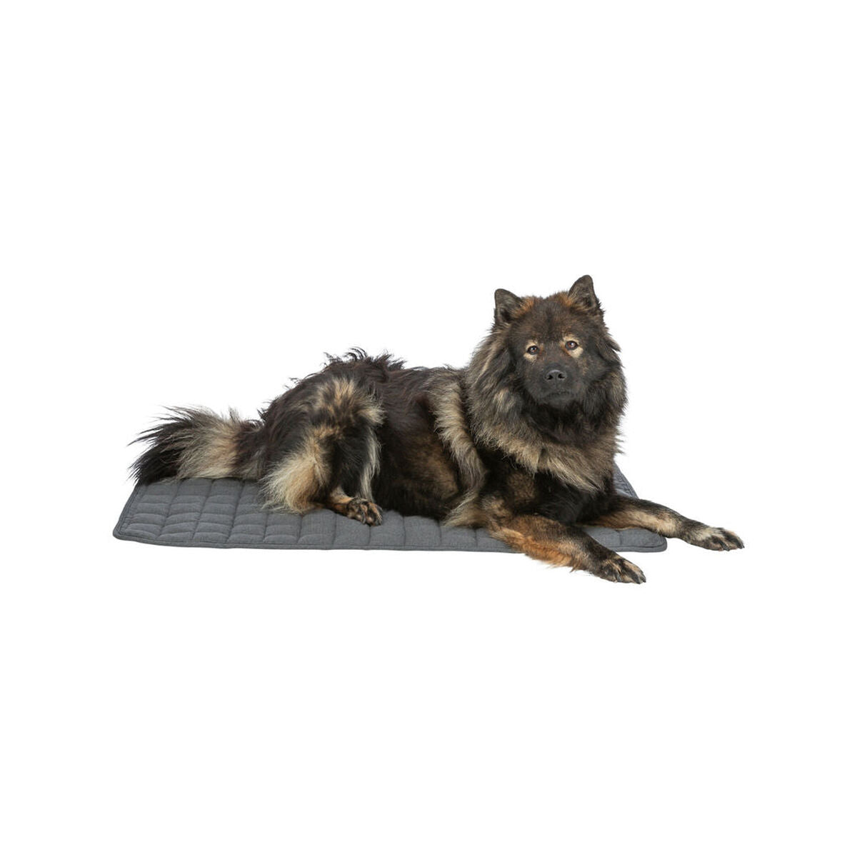 Matelas Trixie Gris foncé 100 × 70 CM Chien