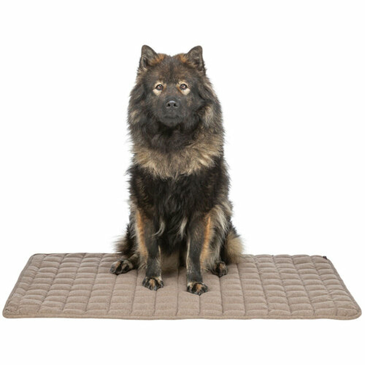 Matelas Trixie Marron 80 × 60 cm Chien