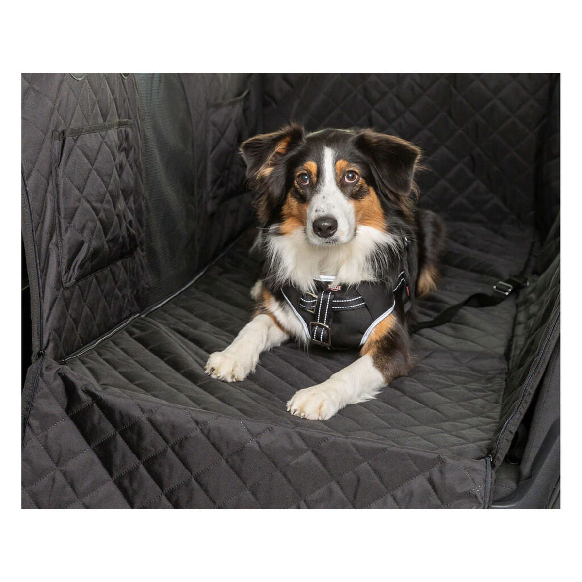 Housse de Protection de Voiture pour Animaux Trixie Noir 164 x 161 cm