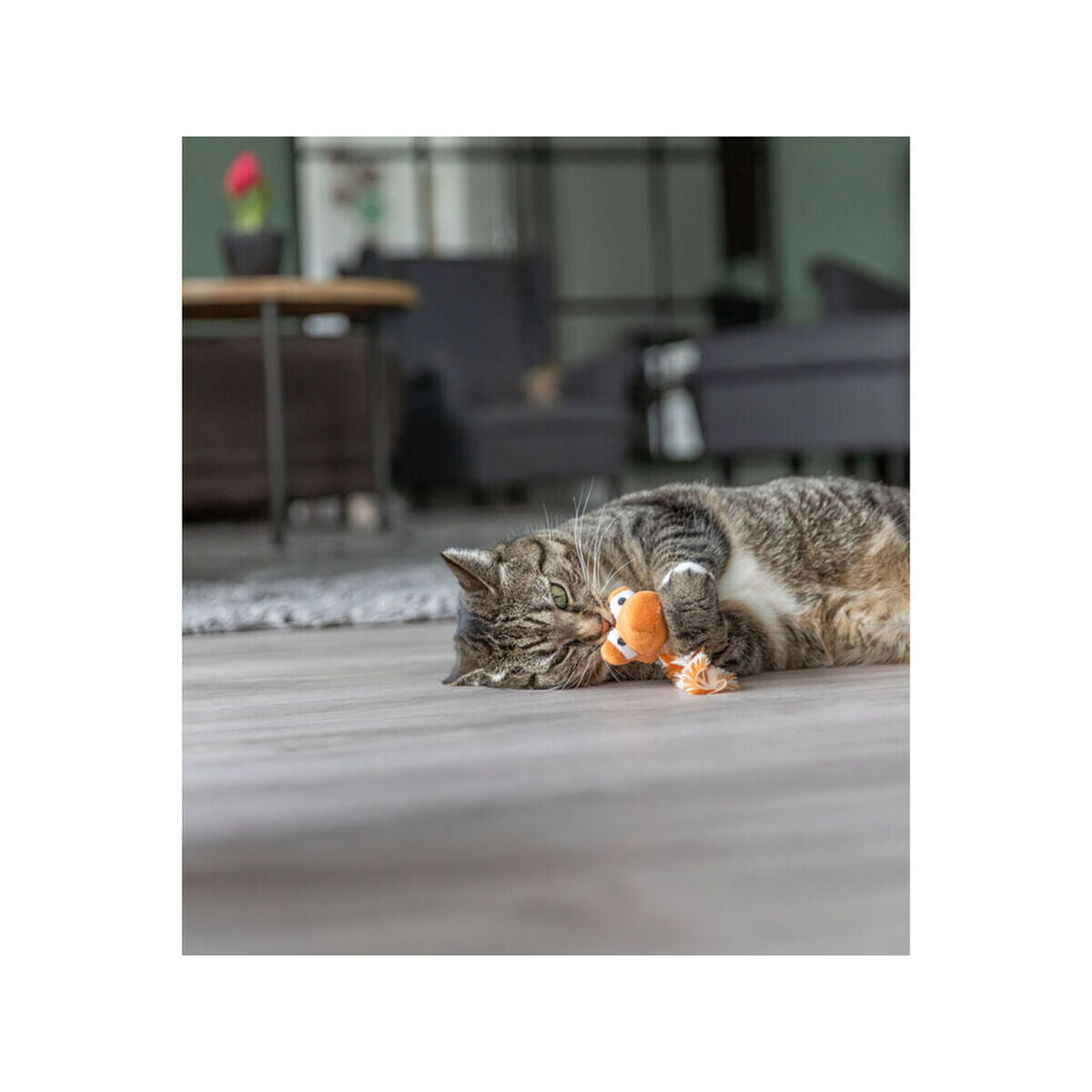 Jouet pour chats Trixie Dragon