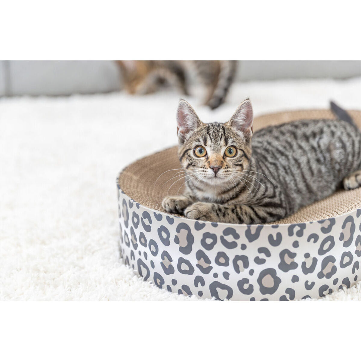 Grattoir pour Chats Trixie Leo Crème Carton 63 x 10 x 35 cm