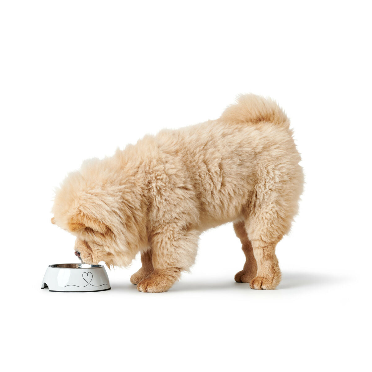 Mangeoire pour chiens Hunter Valencia Blanc 160 ml