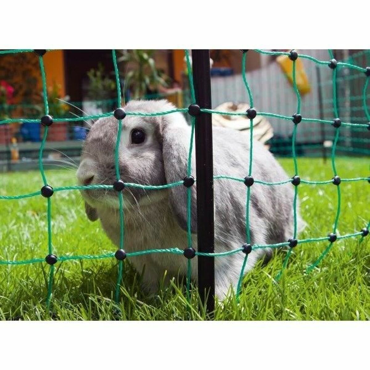 Filet de Sécurité pour Animaux de Compagnie Kerbl Vert