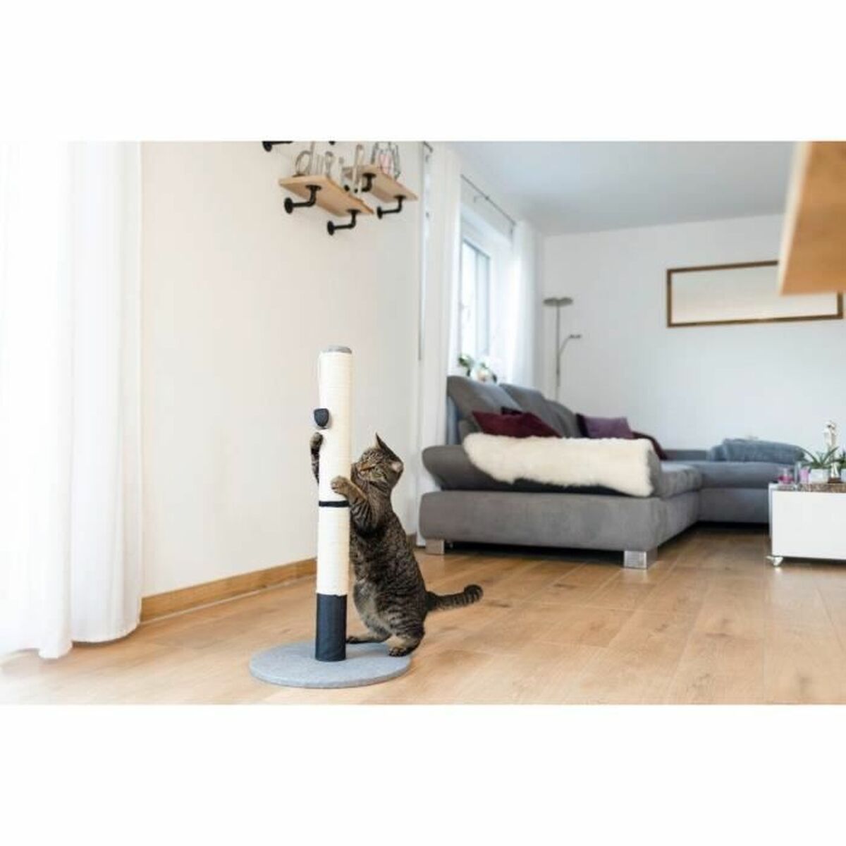 Grattoir pour Chats Kerbl