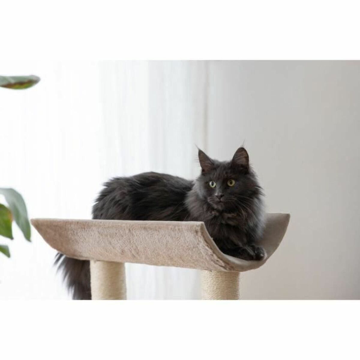 Arbre à chat Kerbl Taupe Sisal
