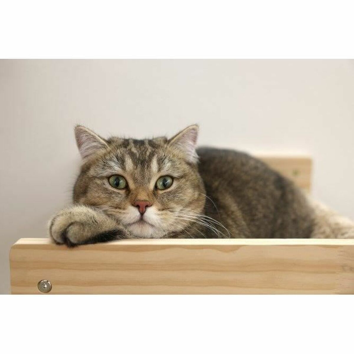 Lit pour chat Kerbl TIMBER Beige
