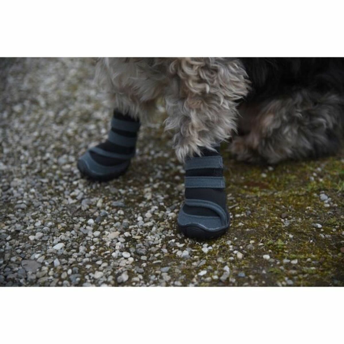 Chaussures pour chiens Kerbl Noir Gris M