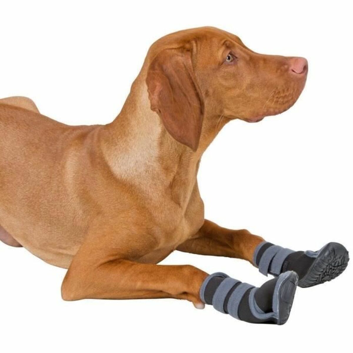 Chaussures pour chiens Kerbl Noir L