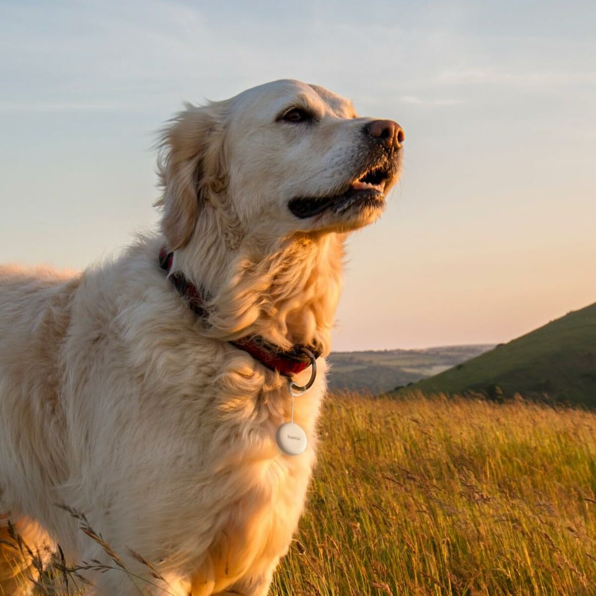 Câble USB Hama 00185825 Blanc