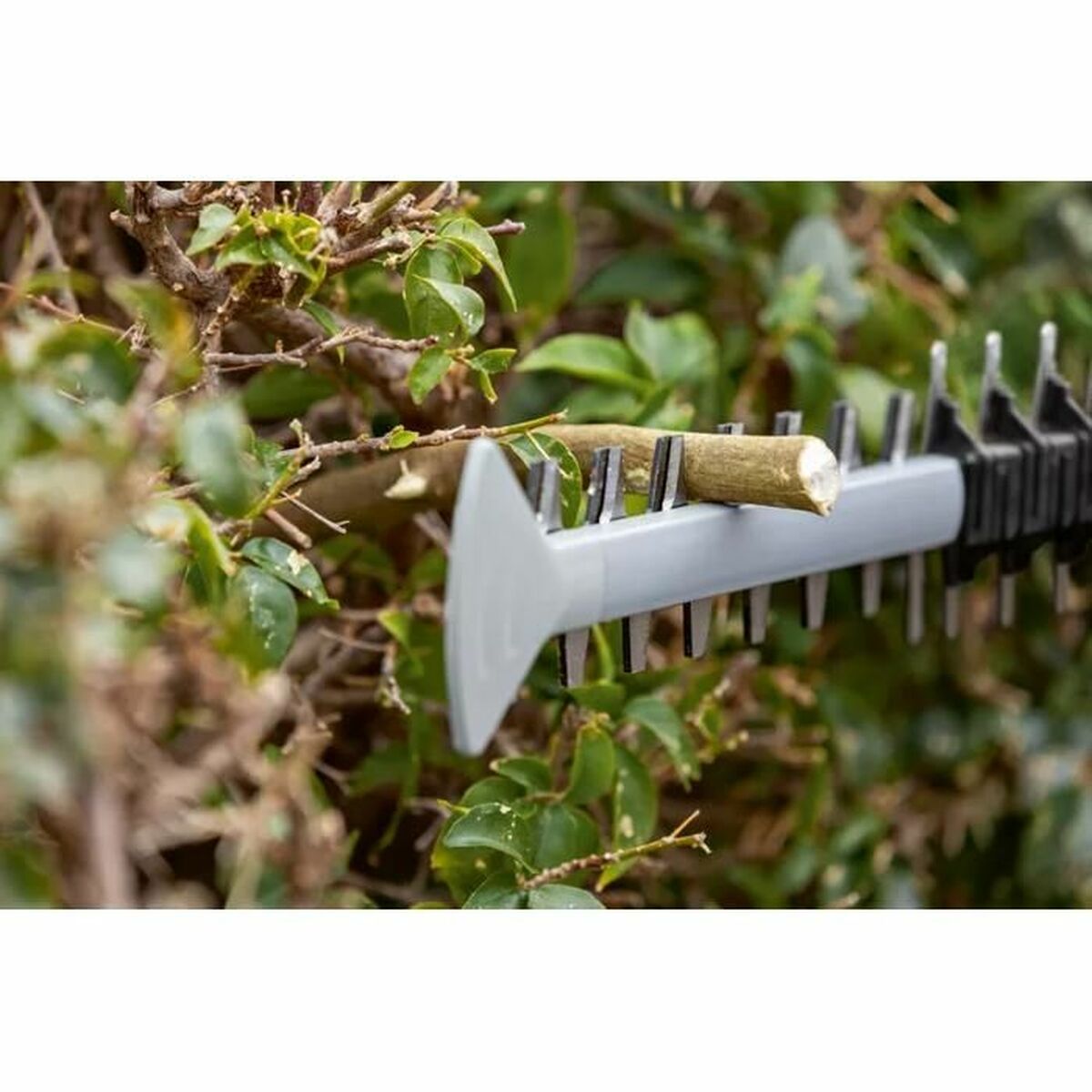 Taille-haie BOSCH 06008C9500 18 V