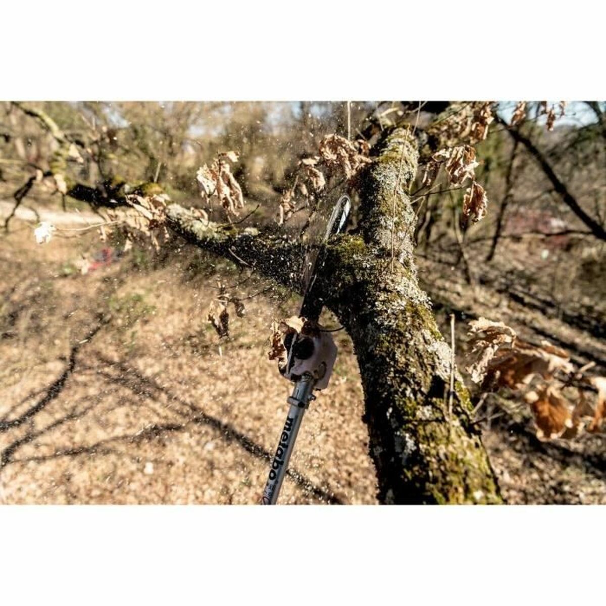 Lame pour tronçonneuse Metabo MA-MS 25