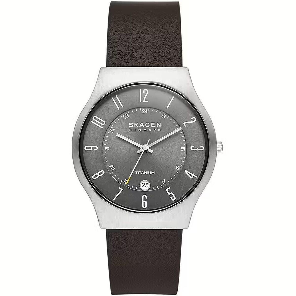 Montre Homme Skagen SUNDBY TITANIUM (Ø 40 mm)