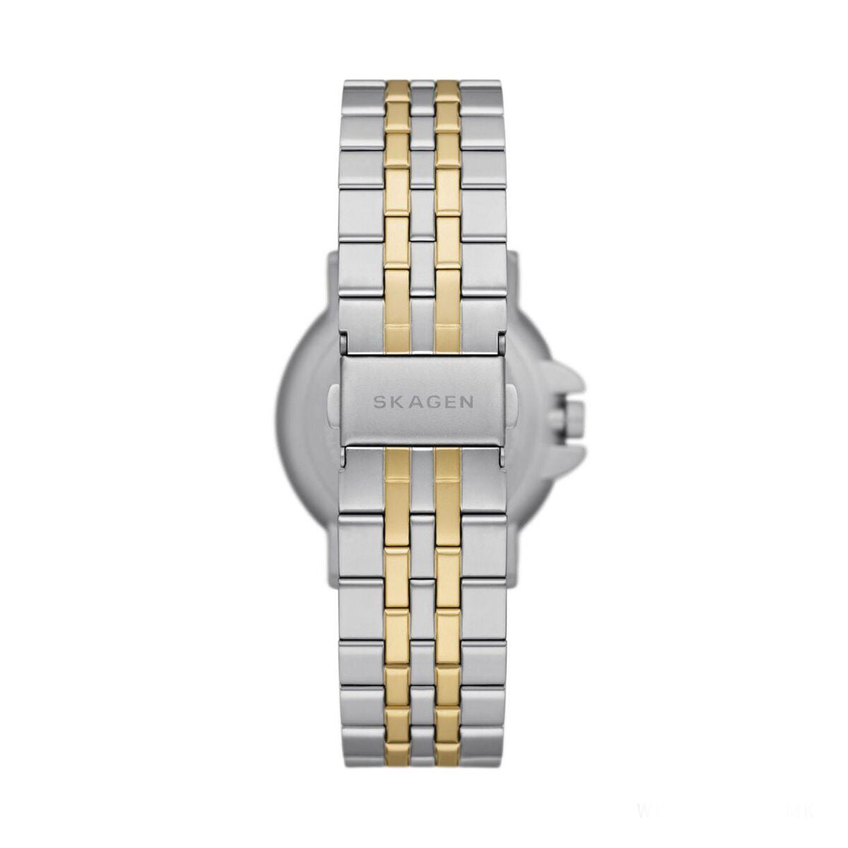 Montre Homme Skagen SKW6921 Argenté (Ø 40 mm)