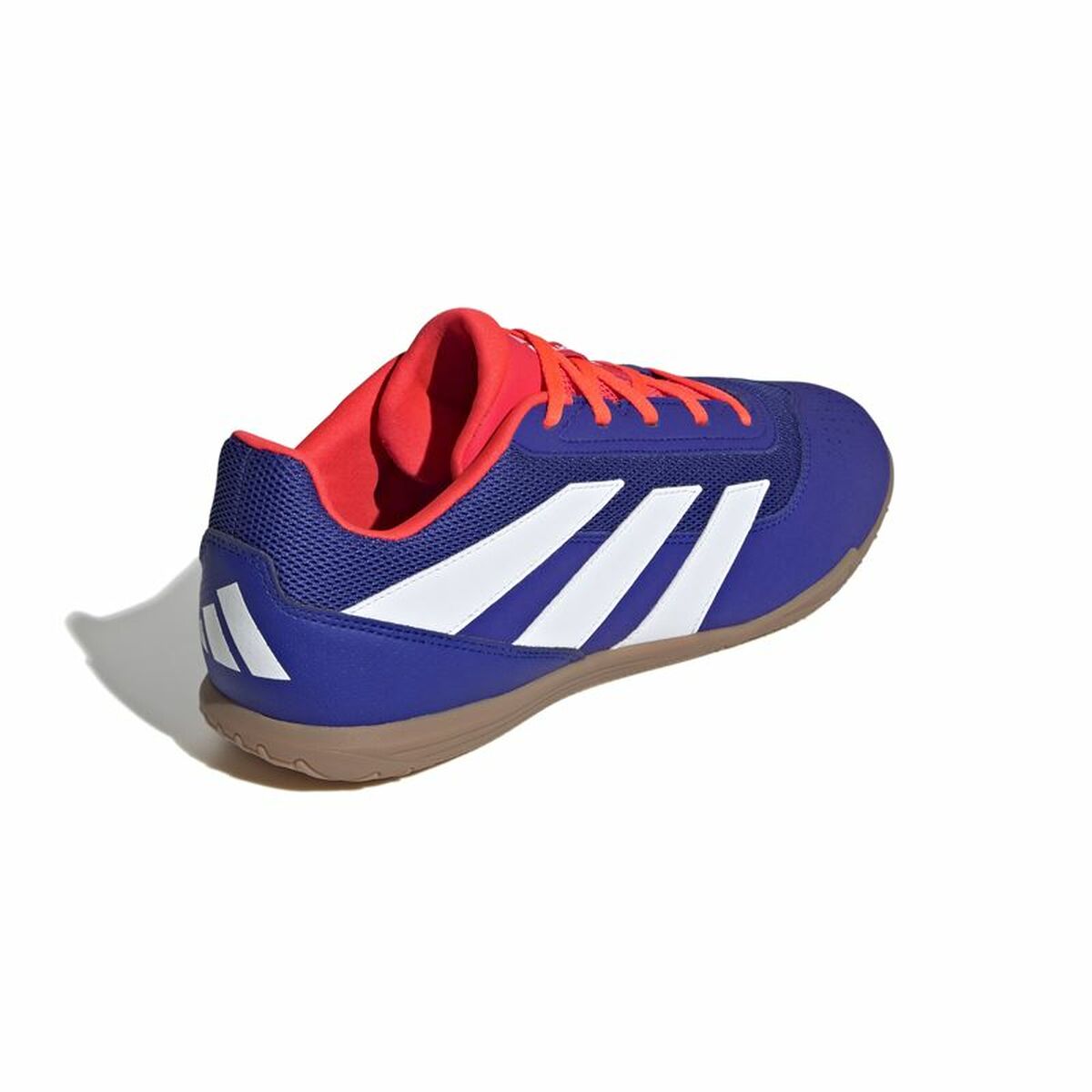 Chaussures de Futsal pour Adultes Adidas Predator Club