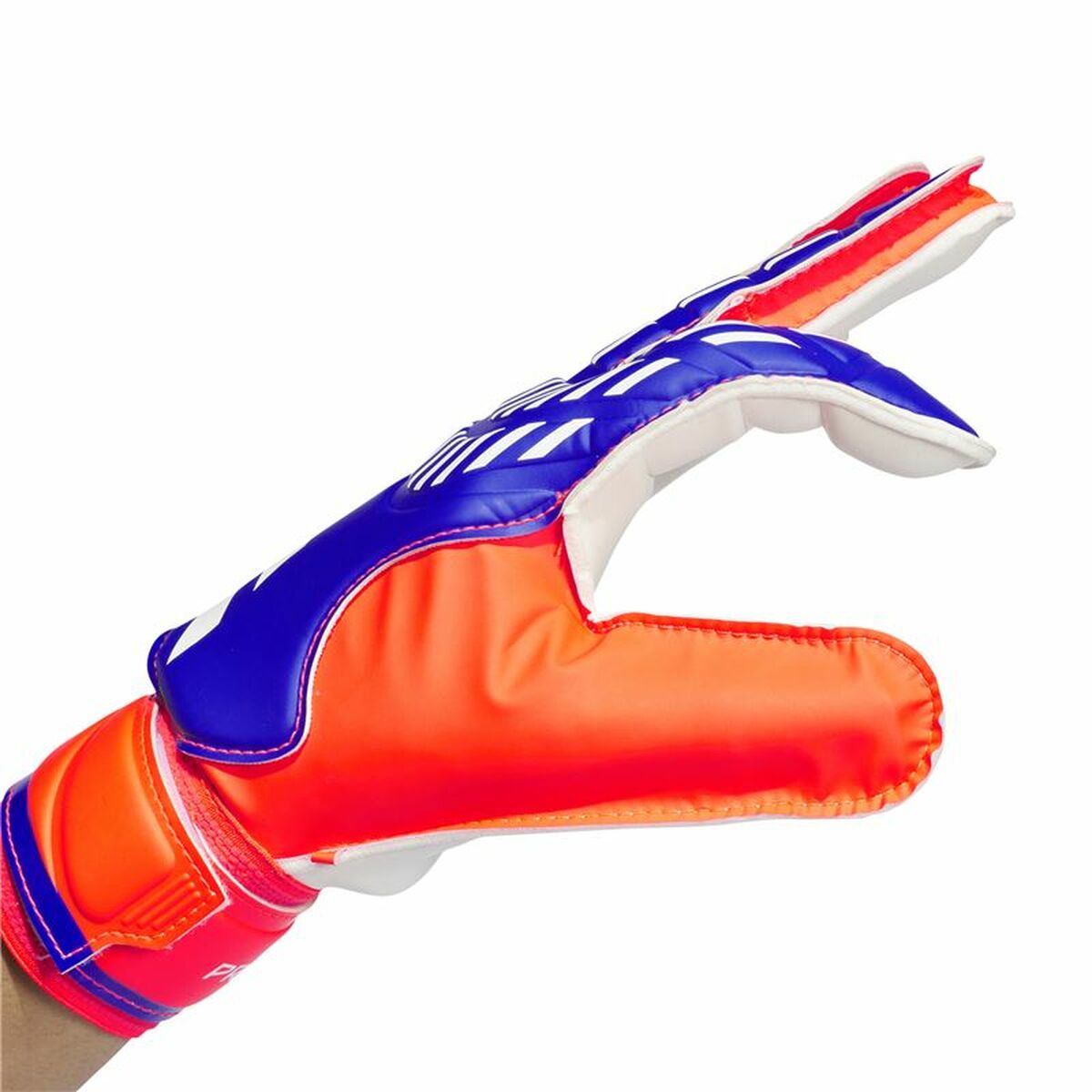 Gants de Gardien de But Adidas Predator Goalkeeper Multicouleur Adultes