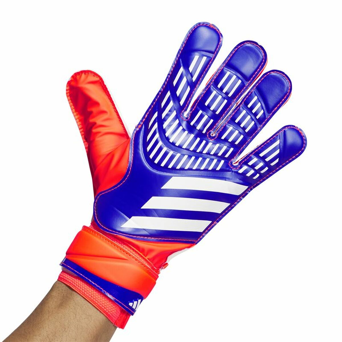 Gants de Gardien de But Adidas Predator Goalkeeper Multicouleur Adultes