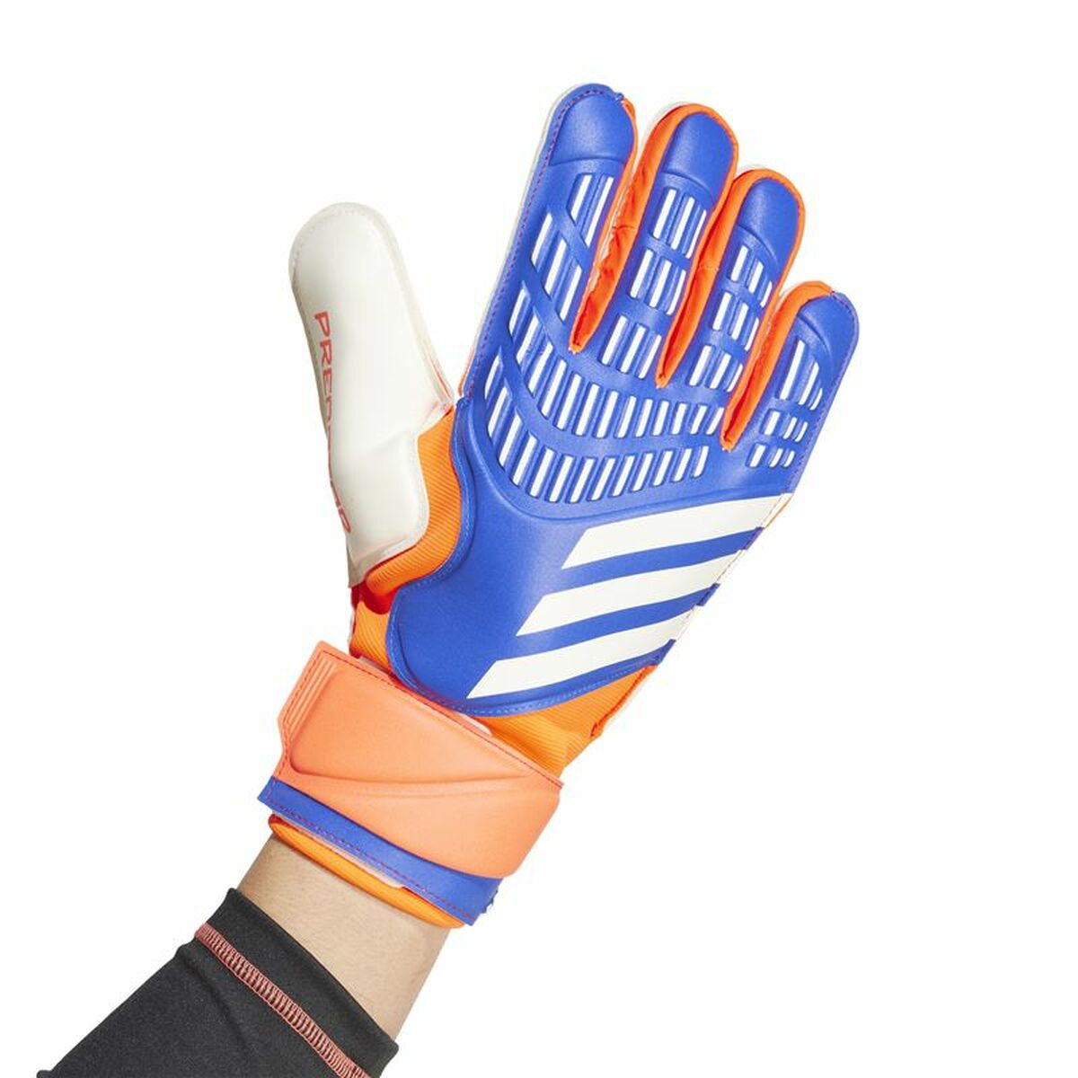 Gants de Gardien de But Adidas Predator Match Multicouleur Adultes