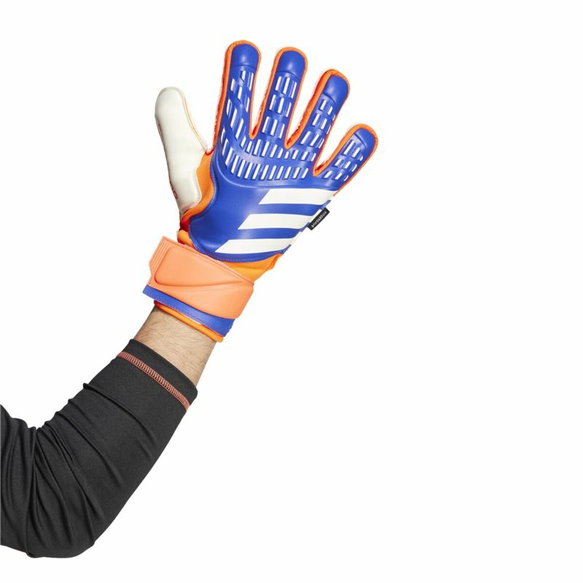 Gants de Gardien de But Adidas Predator Match Bleu Adultes